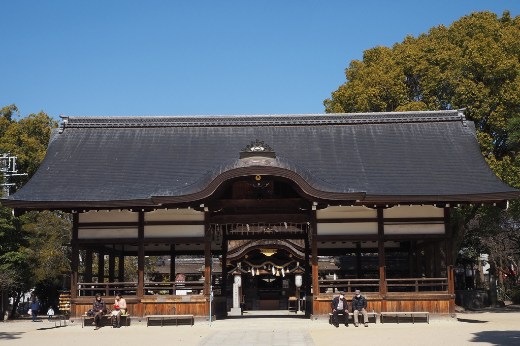春陽ざし 右も左も 日向ぼこ