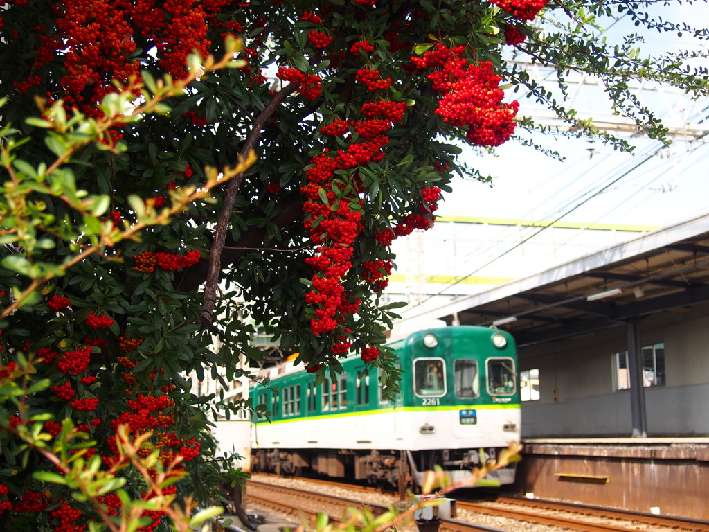 陽ざし受け 赤白緑 駅コラボ
