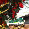 陽ざし受け 赤白緑 駅コラボ