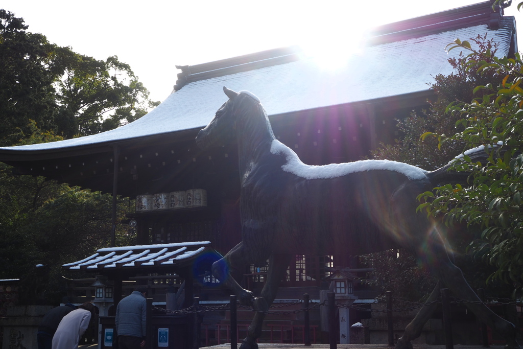 元旦や 心機一転 五福めぐり ②乃木神社