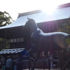 元旦や 心機一転 五福めぐり ②乃木神社