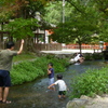 上賀茂の 夏の思ひ出 水遊び