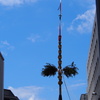 青空に長刀凛々しく梅雨晴れ間