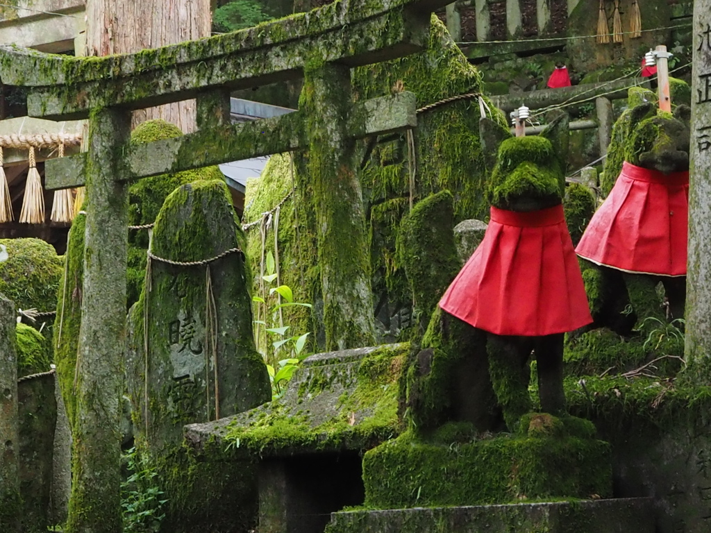 苔むして 年月（とき）を感じる お塚かな