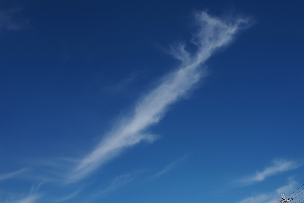 見上げれば サメが泳ぎし 秋の雲