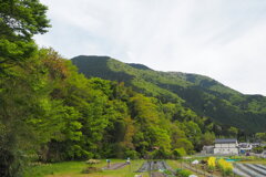 山模様 緑の濃淡 初夏姿