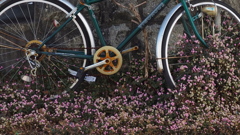 姫蔓蕎麦 放置自転車 デコレート