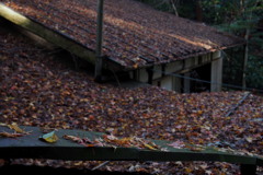 茶屋の屋根 紅葉積もりて 冬迎ふ