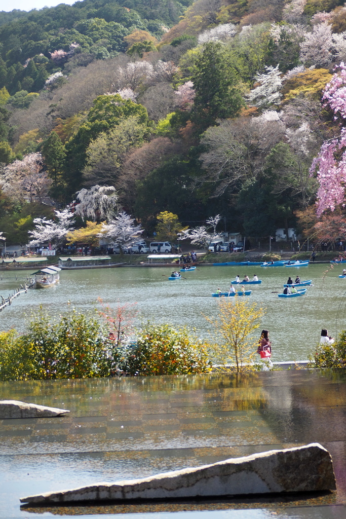 嵐山 庭園越しの 春風情