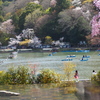 嵐山 庭園越しの 春風情