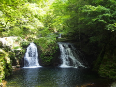 新緑やこころ洗わる赤目滝