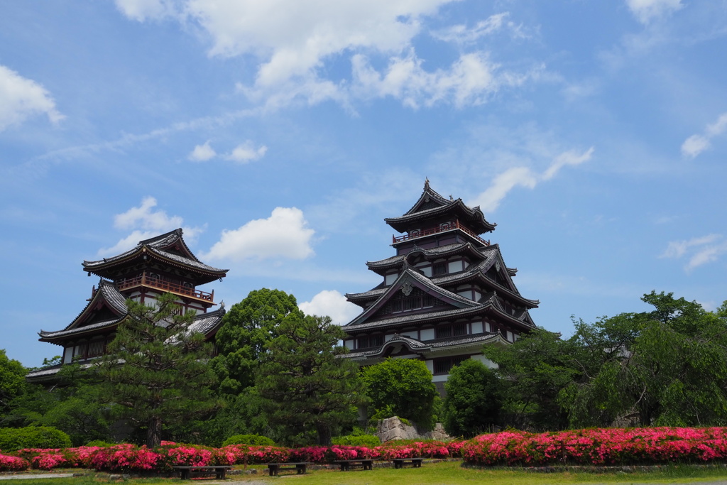 初夏景色 サツキ彩る 城公園