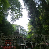 神鎮座 木立つつまる 聖地かな
