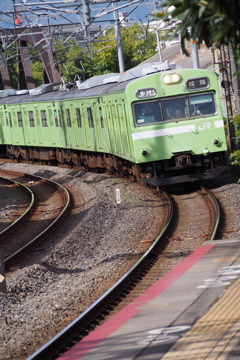 １０３系 秋の陽を受け 駅に着く