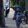 目を引くね 後姿の ハイカラさん