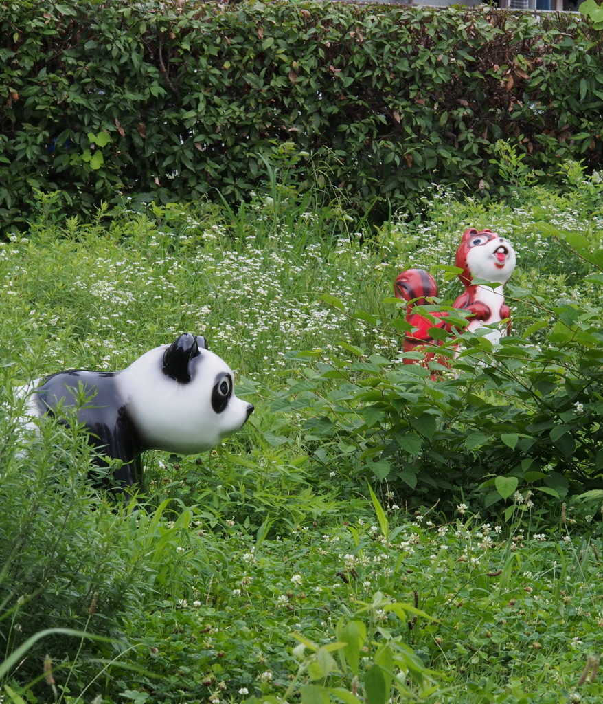 草むらに 動物たちの 鬼ごっこ