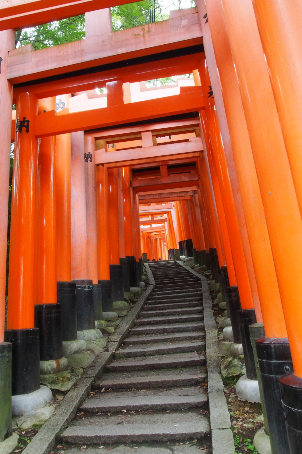 ジグザグと 鳥居のトンネル 山巡る