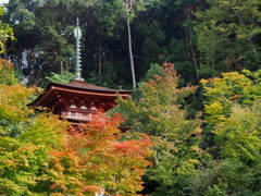 柔らかき 陽ざしに紅葉 朱き塔