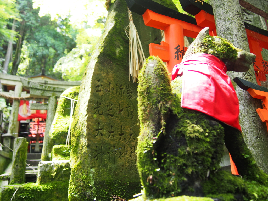 苔むして使いのきつね年いくつ？