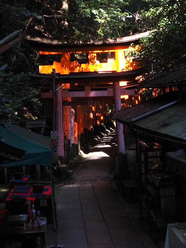 朝陽射す 鳥居まぶしや 山巡り