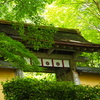 厳かや 緑鮮やか 寂光院