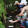 水浸す 貴船神社の おみくじは