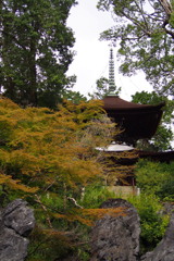 見上げれば 紅葉・石山 多宝塔