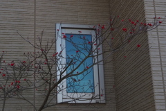 冬の窓 赤き実飾るは アート風