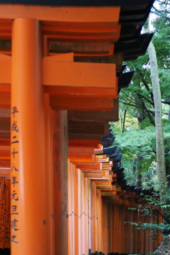 千本の 鳥居の並び  奥に延ぶ