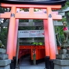 早朝の 千本鳥居 静かなり