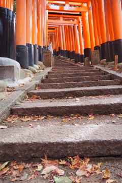 冬来たる お山巡りは 落ち葉道