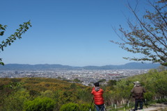 山の上 野鳥観察 春日和