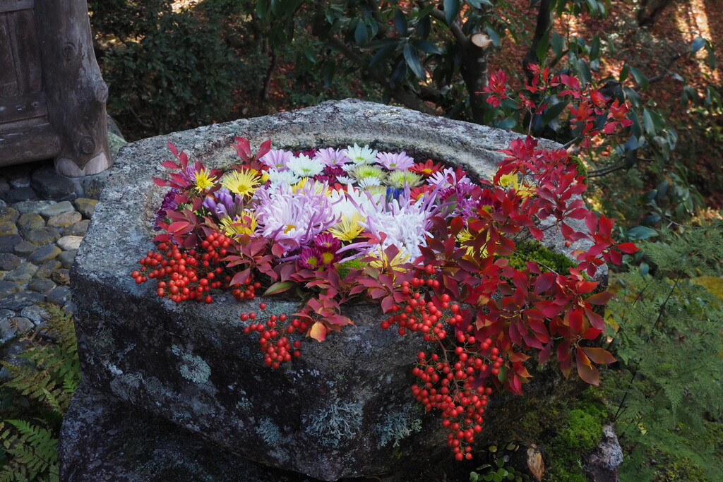 魅かれます 晩秋装い 花手水