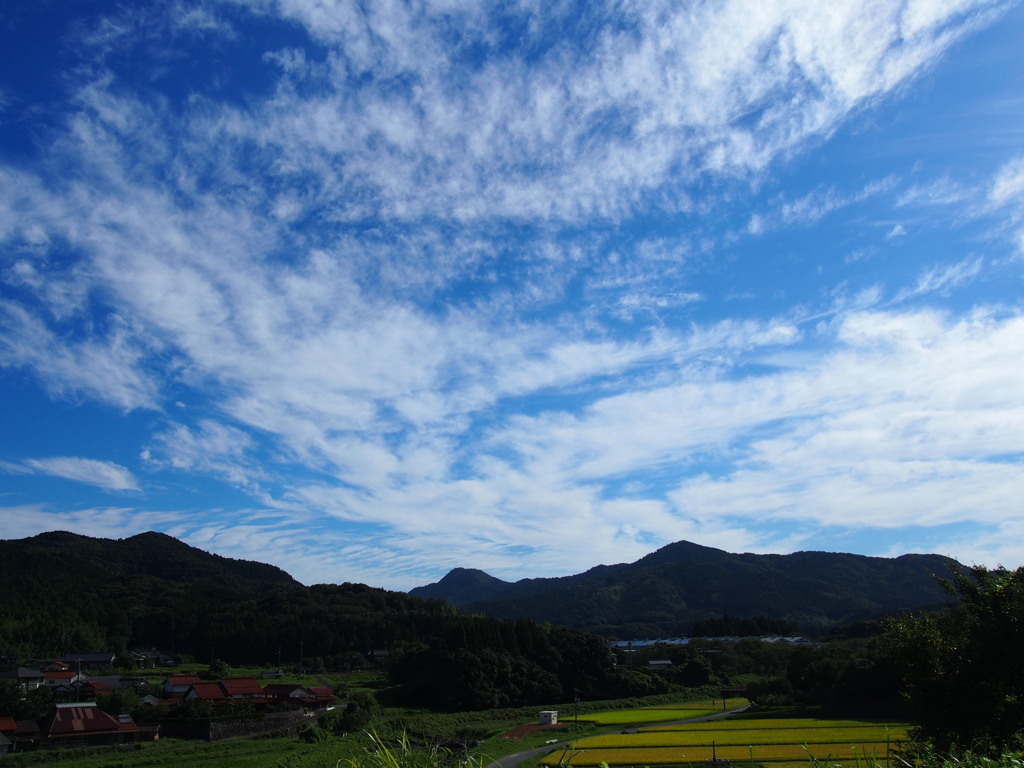 澄み切りし 空気ひんやり 里の秋