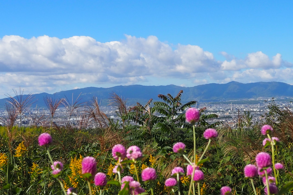 秋景色 大岩山から 眺めたり
