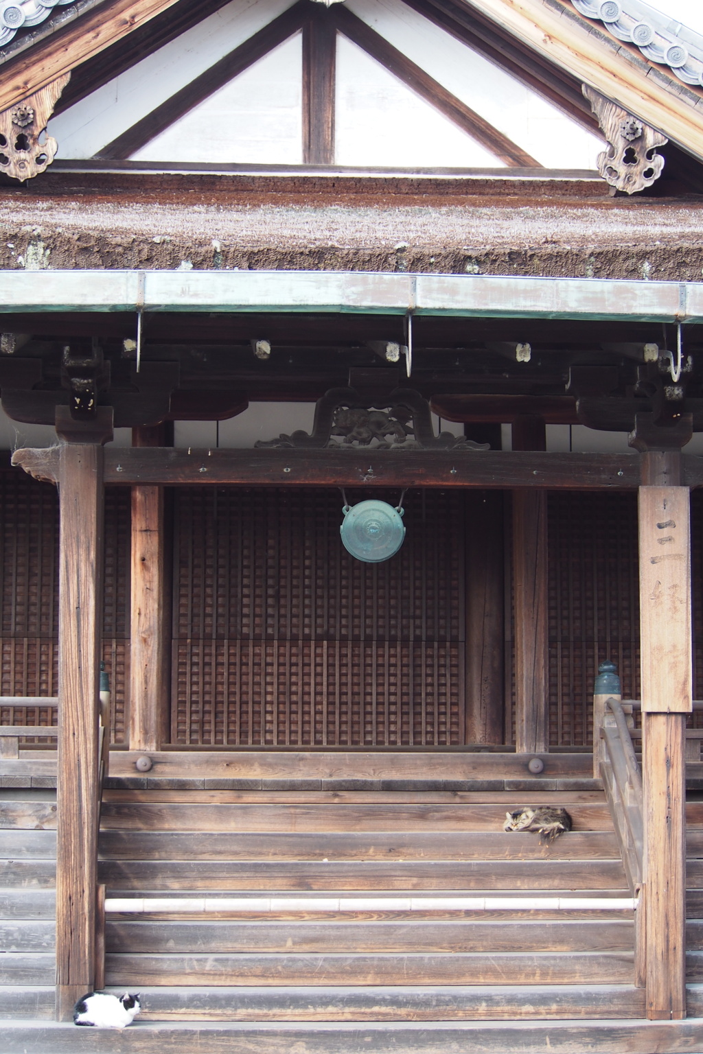 香箱の 猫の陣地は 対角線