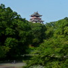 梅雨明けて早朝テニス城公園