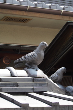 棟飾り 家の守りか 鳩つがい