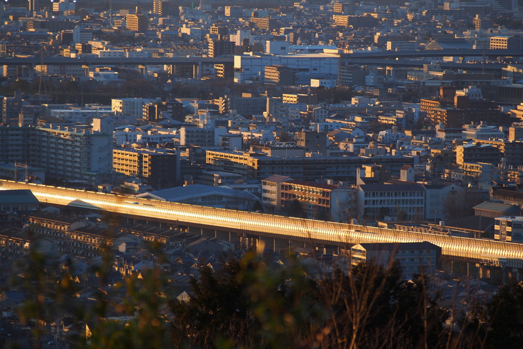 夕日さす 道路側壁 光帯