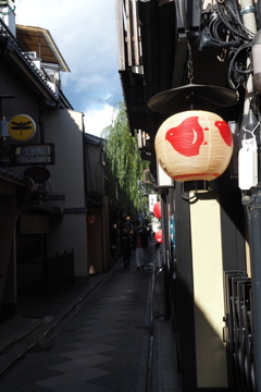 昼下がり 先斗町射す 斜光かな