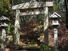 木洩れ陽を 受けし鳥居は 母想う