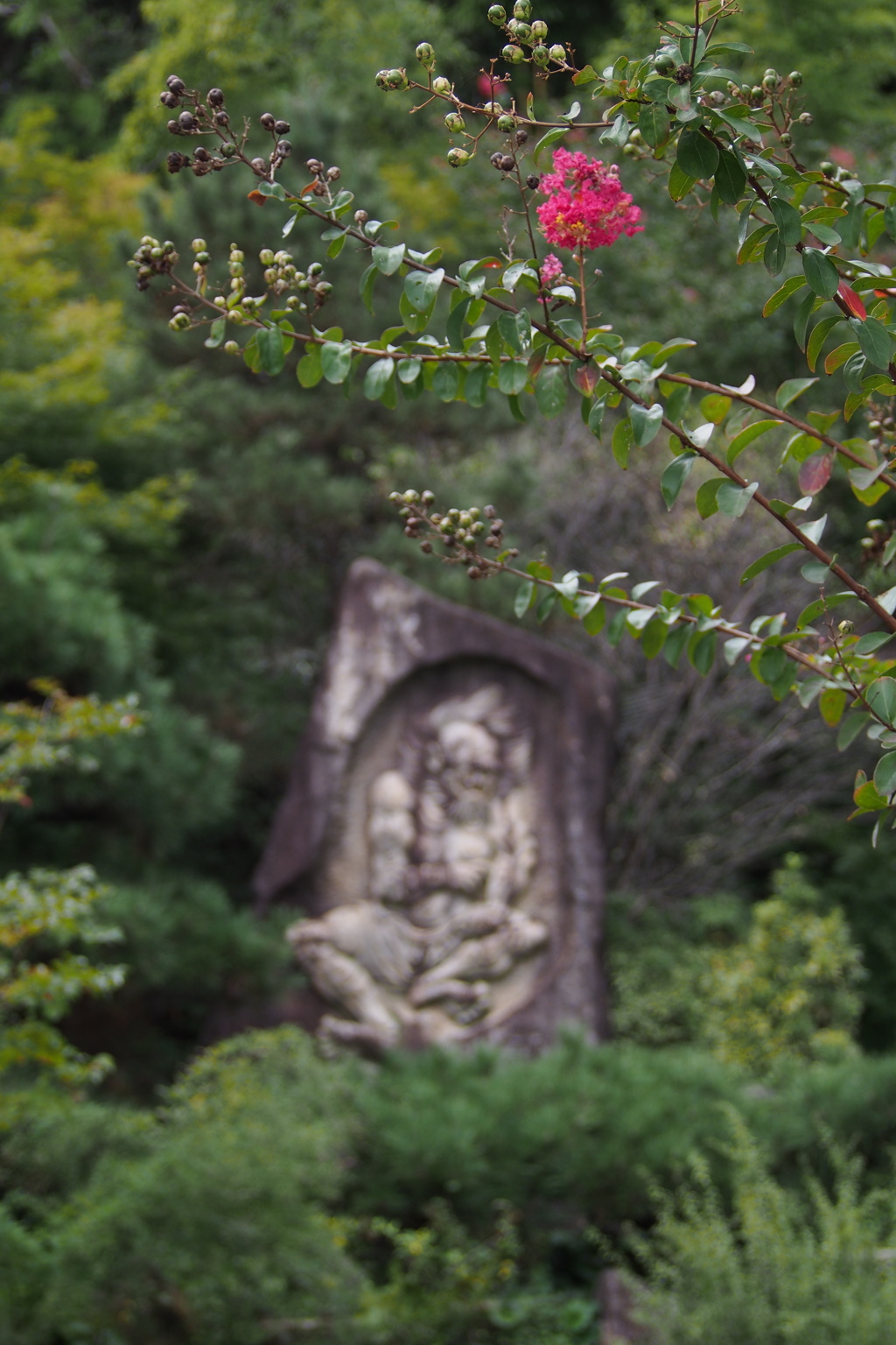 石山に 深き一輪 百日紅