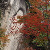 磨崖仏 紅葉楽しや 笑み見えし
