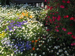 色とりどり 小花あふれし 街花壇