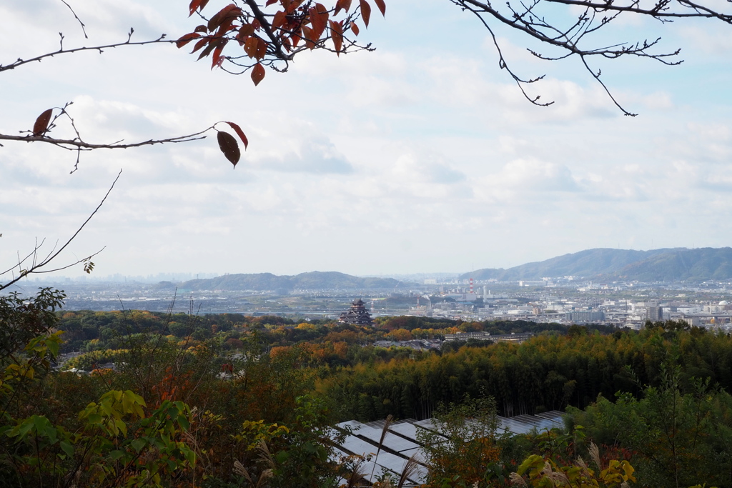 秋深し 桃山丘陵 渋き色