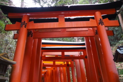 月参り 雪は残りて 鳥居道