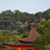ふり向けば 鳥居・本殿 稲荷山