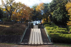 晩秋の公園 人おらず静か
