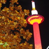 黄葉と 赤きタワーの 夜七時