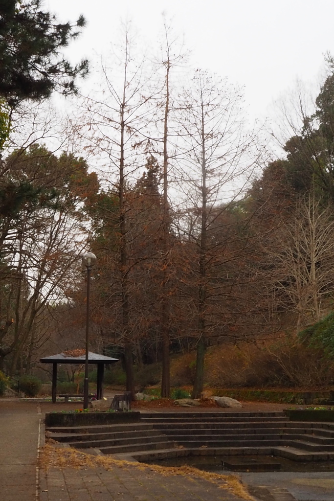 寒々し 茶色基調や 冬公園